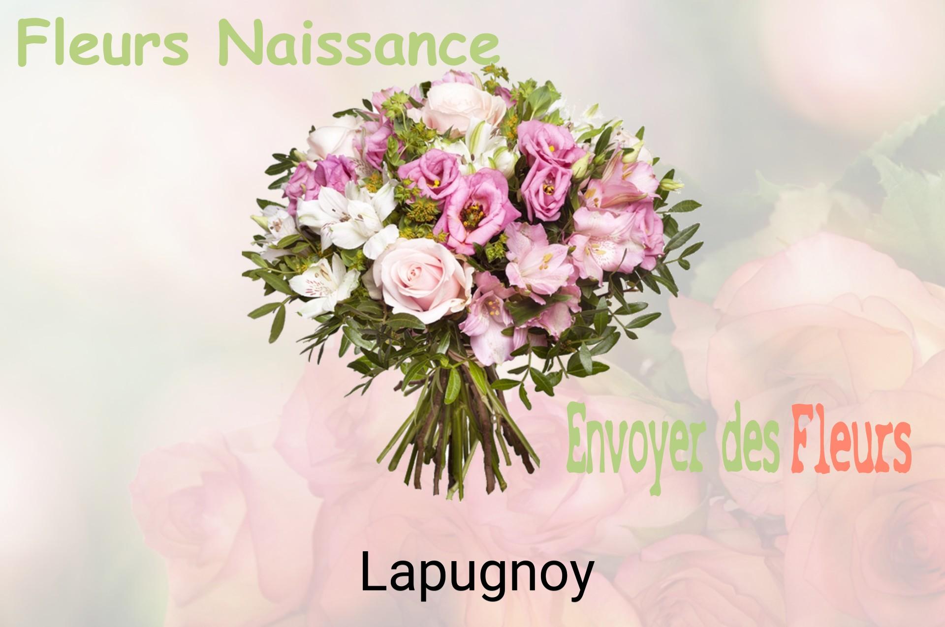 Bouquet de fleurs de naissance livré à Lapugnoy
