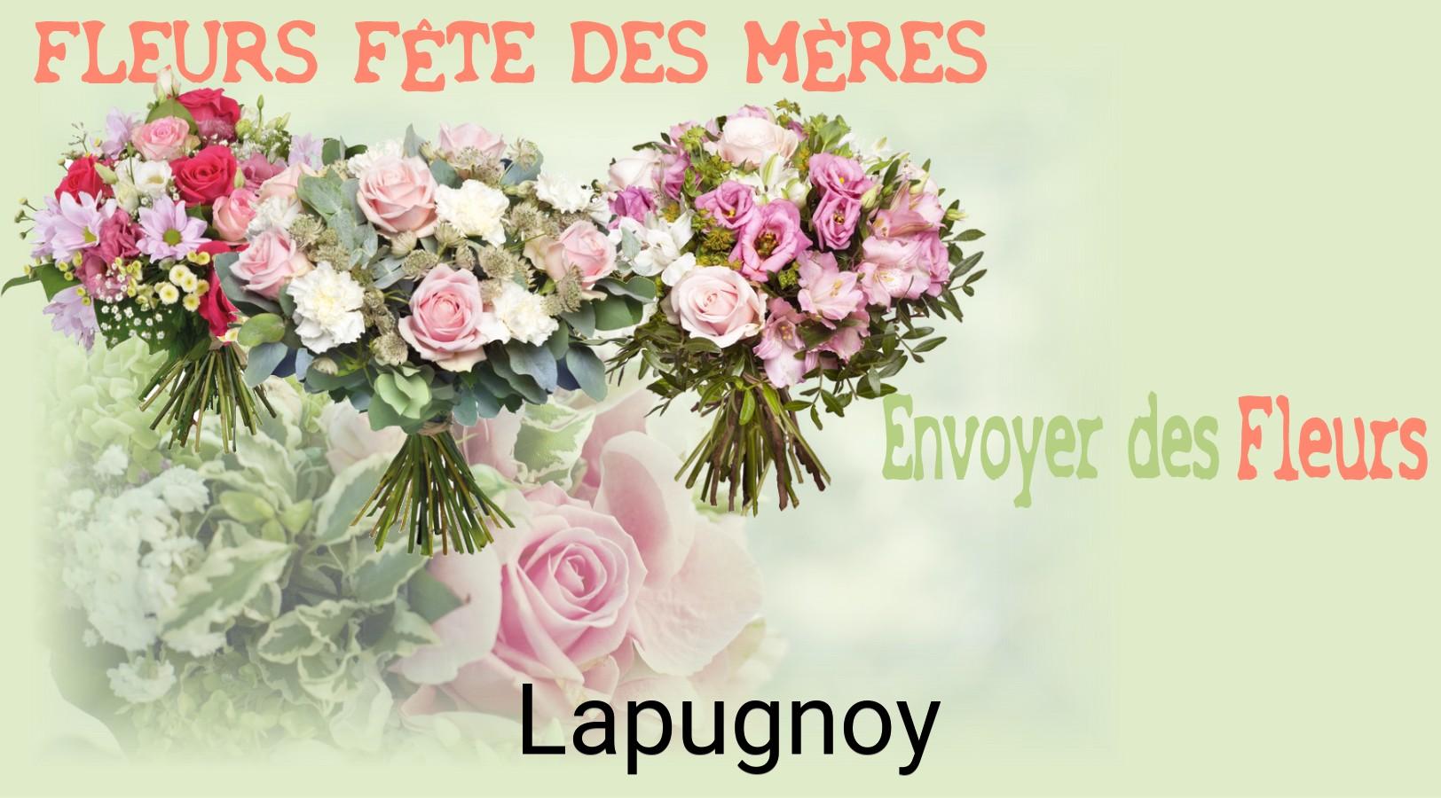 Bouquet de Fête des Mères livré à Lapugnoy